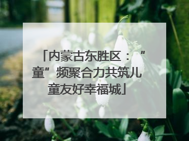 内蒙古东胜区：“童”频聚合力共筑儿童友好幸福城