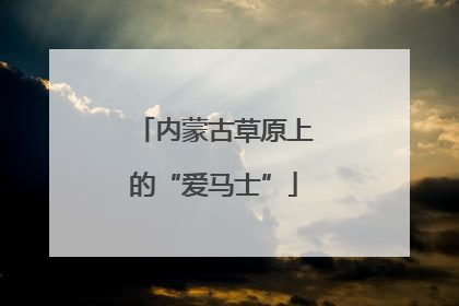 内蒙古草原上的“爱马士”