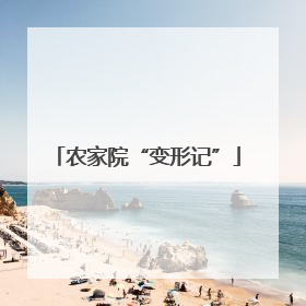农家院“变形记”