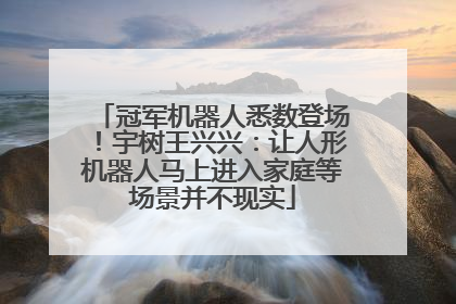 冠军机器人悉数登场！宇树王兴兴：让人形机器人马上进入家庭等场景并不现实