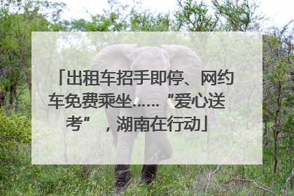出租车招手即停、网约车免费乘坐……“爱心送考”，湖南在行动