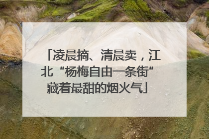 凌晨摘、清晨卖，江北“杨梅自由一条街”藏着最甜的烟火气