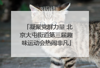 凝聚党群力量 北京大屯街道第三届趣味运动会热闹非凡