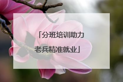 分班培训助力老兵精准就业
