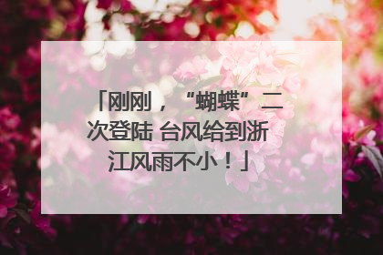 刚刚，“蝴蝶”二次登陆 台风给到浙江风雨不小！