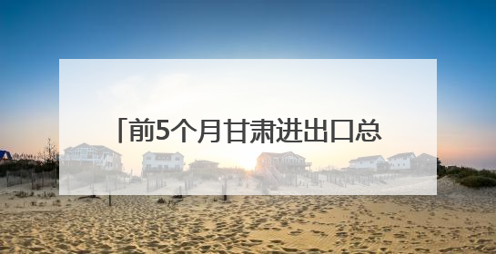 前5个月甘肃进出口总值同比增长43.2%