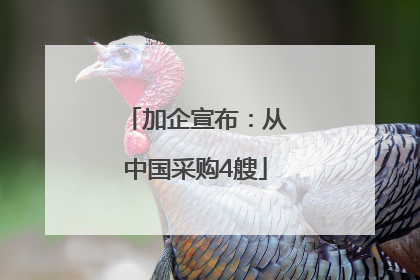 加企宣布：从中国采购4艘