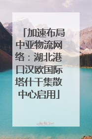 加速布局中亚物流网络：湖北港口汉欧国际塔什干集散中心启用