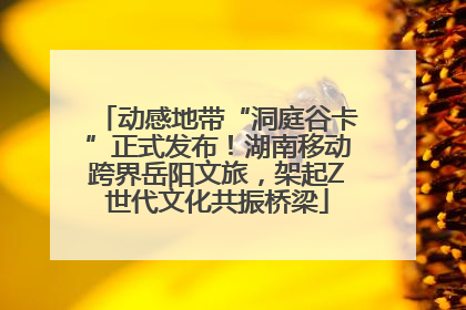动感地带“洞庭谷卡”正式发布！湖南移动跨界岳阳文旅，架起Z世代文化共振桥梁