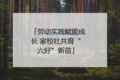 劳动实践赋能成长 家校社共育“六好”新苗