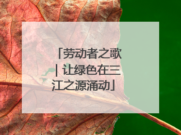 劳动者之歌｜让绿色在三江之源涌动