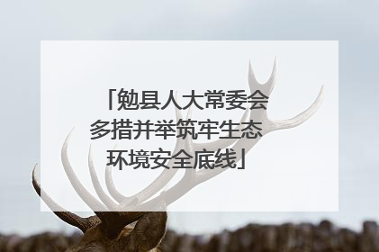 勉县人大常委会多措并举筑牢生态环境安全底线