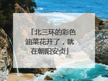 北三环的彩色油菜花开了，就在朝阳安贞