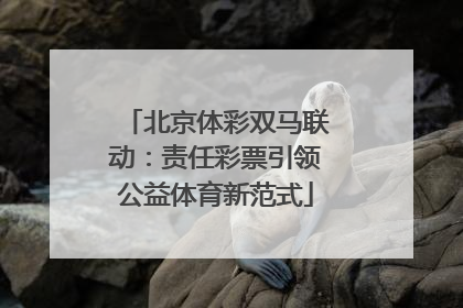北京体彩双马联动：责任彩票引领公益体育新范式