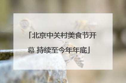 北京中关村美食节开幕 持续至今年年底