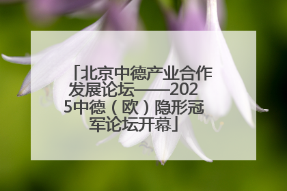 北京中德产业合作发展论坛——2025中德（欧）隐形冠军论坛开幕