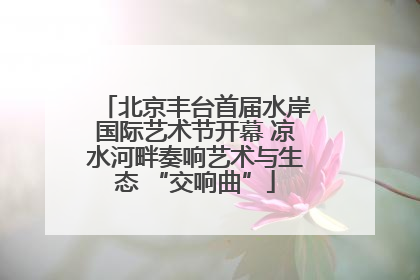 北京丰台首届水岸国际艺术节开幕 凉水河畔奏响艺术与生态 “交响曲”
