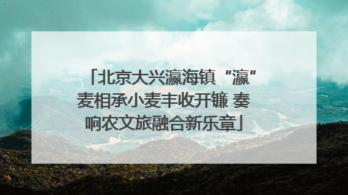 北京大兴瀛海镇“瀛”麦相承小麦丰收开镰 奏响农文旅融合新乐章