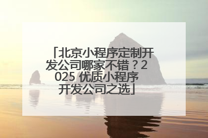 北京小程序定制开发公司哪家不错？2025 优质小程序开发公司之选