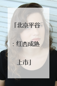 北京平谷：红杏成熟上市