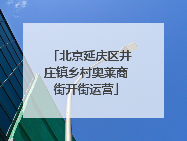 北京延庆区井庄镇乡村奥莱商街开街运营