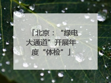 北京：“绿电大通道”开展年度“体检”