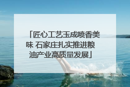 匠心工艺玉成喷香美味 石家庄扎实推进粮油产业高质量发展