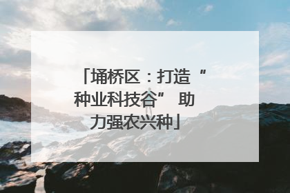 埇桥区：打造“种业科技谷” 助力强农兴种