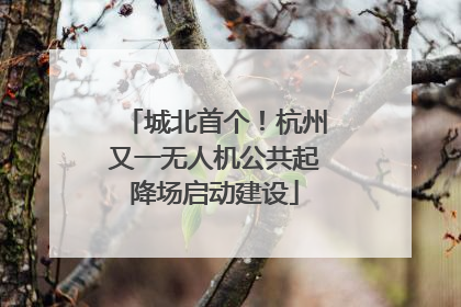 城北首个！杭州又一无人机公共起降场启动建设