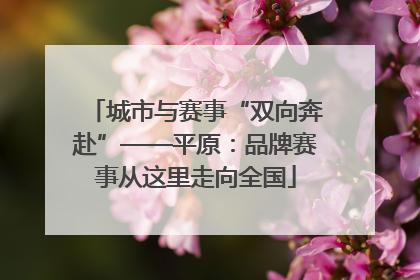城市与赛事“双向奔赴”——平原：品牌赛事从这里走向全国