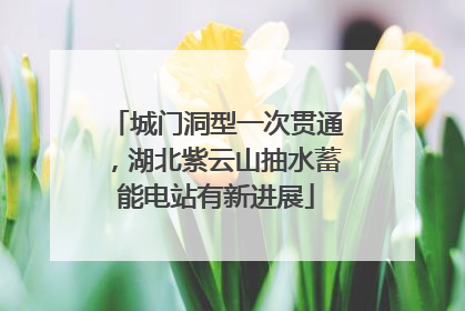 城门洞型一次贯通，湖北紫云山抽水蓄能电站有新进展