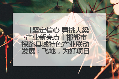 坚定信心 勇挑大梁·产业新亮点丨邯郸市探路县域特色产业联动发展：飞地，为好项目跨域安个家
