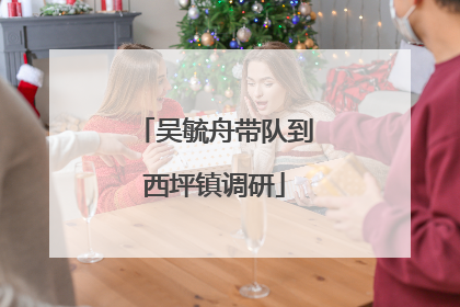 吴毓舟带队到西坪镇调研