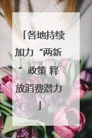 各地持续加力“两新”政策 释放消费潜力
