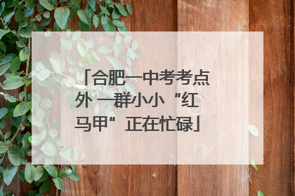 合肥一中考考点外 一群小小“红马甲”正在忙碌