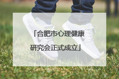 合肥市心理健康研究会正式成立