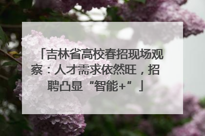 吉林省高校春招现场观察：人才需求依然旺，招聘凸显“智能+”
