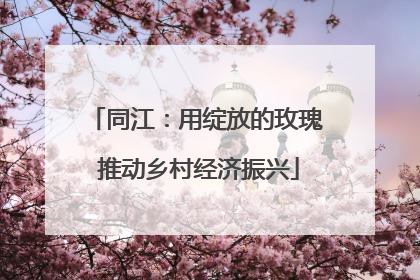 同江：用绽放的玫瑰 推动乡村经济振兴