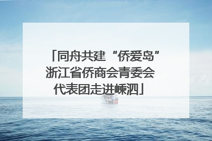 同舟共建“侨爱岛” 浙江省侨商会青委会代表团走进嵊泗
