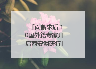 向新求质 10国外籍专家开启西安调研行