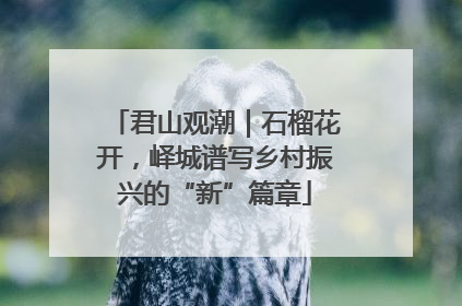 君山观潮｜石榴花开，峄城谱写乡村振兴的“新”篇章