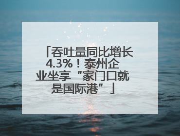 吞吐量同比增长4.3%！泰州企业坐享“家门口就是国际港”