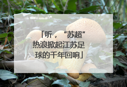 听，“苏超”热浪掀起江苏足球的千年回响