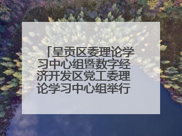 呈贡区委理论学习中心组暨数字经济开发区党工委理论学习中心组举行2025年第七次学习会议