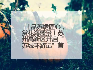 品苏绣匠心，赏花海盛景！苏州高新区开启“苏城环游记”首条非遗主题游
