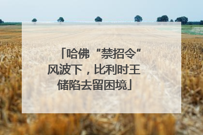 哈佛“禁招令”风波下，比利时王储陷去留困境