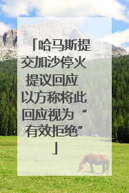 哈马斯提交加沙停火提议回应 以方称将此回应视为“有效拒绝”