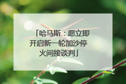 哈马斯：愿立即开启新一轮加沙停火间接谈判
