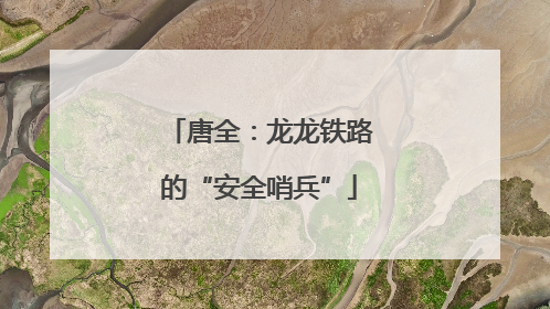 唐全：龙龙铁路的“安全哨兵”