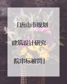 唐山市规划建筑设计研究院串标被罚